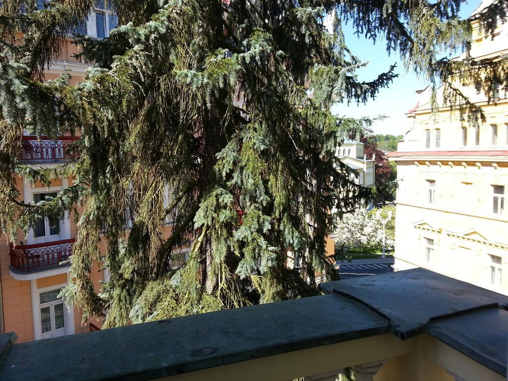 Pension Akropolis, Eco Breakfasts From Farm Marianske Lazne Bilik gambar